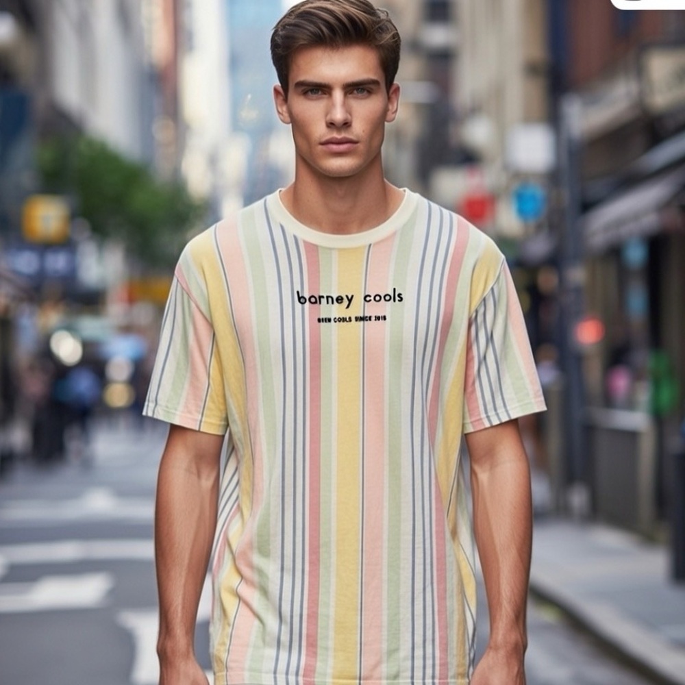 Barney Cools Pastel Striped Tee “BEEN COOLS SINCE 2013” XL Oversized Boxy Fit